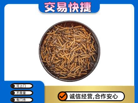 中山礼品回收虫草.jpg